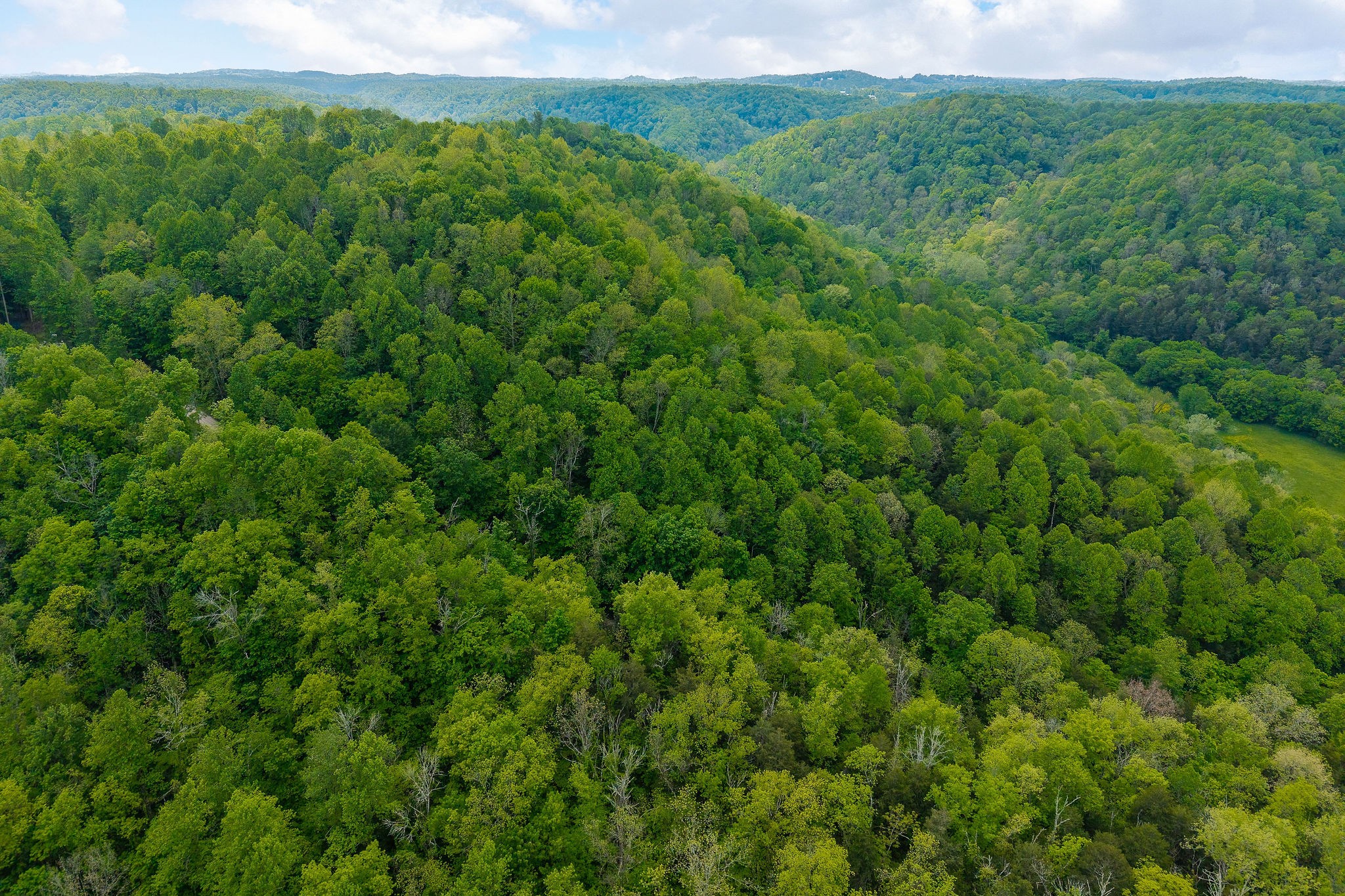 0 Red Bud Lane Hilham, TN 38568 - Photo 5 of 14