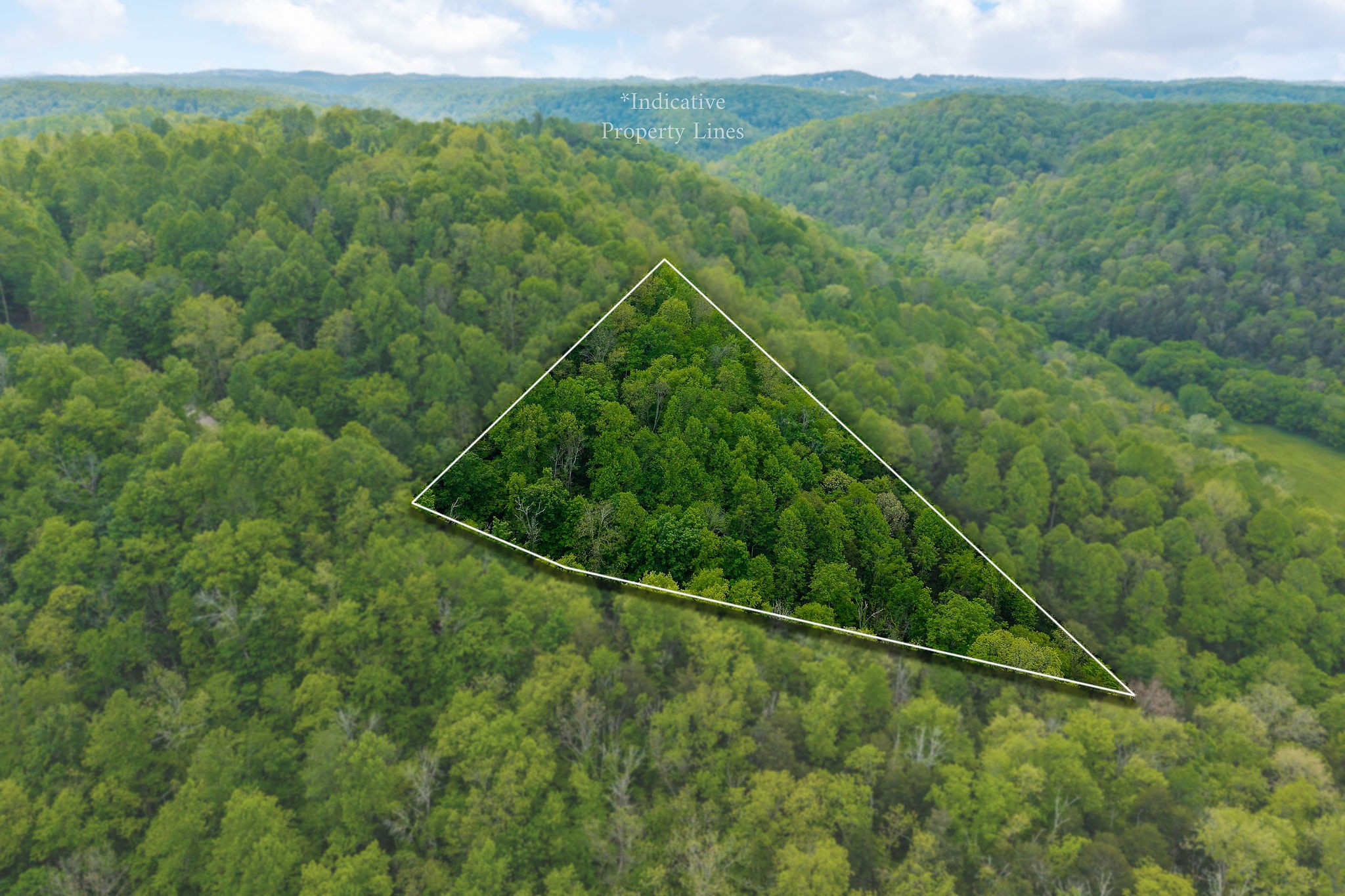 0 Red Bud Lane Hilham, TN 38568 - Photo 6 of 14