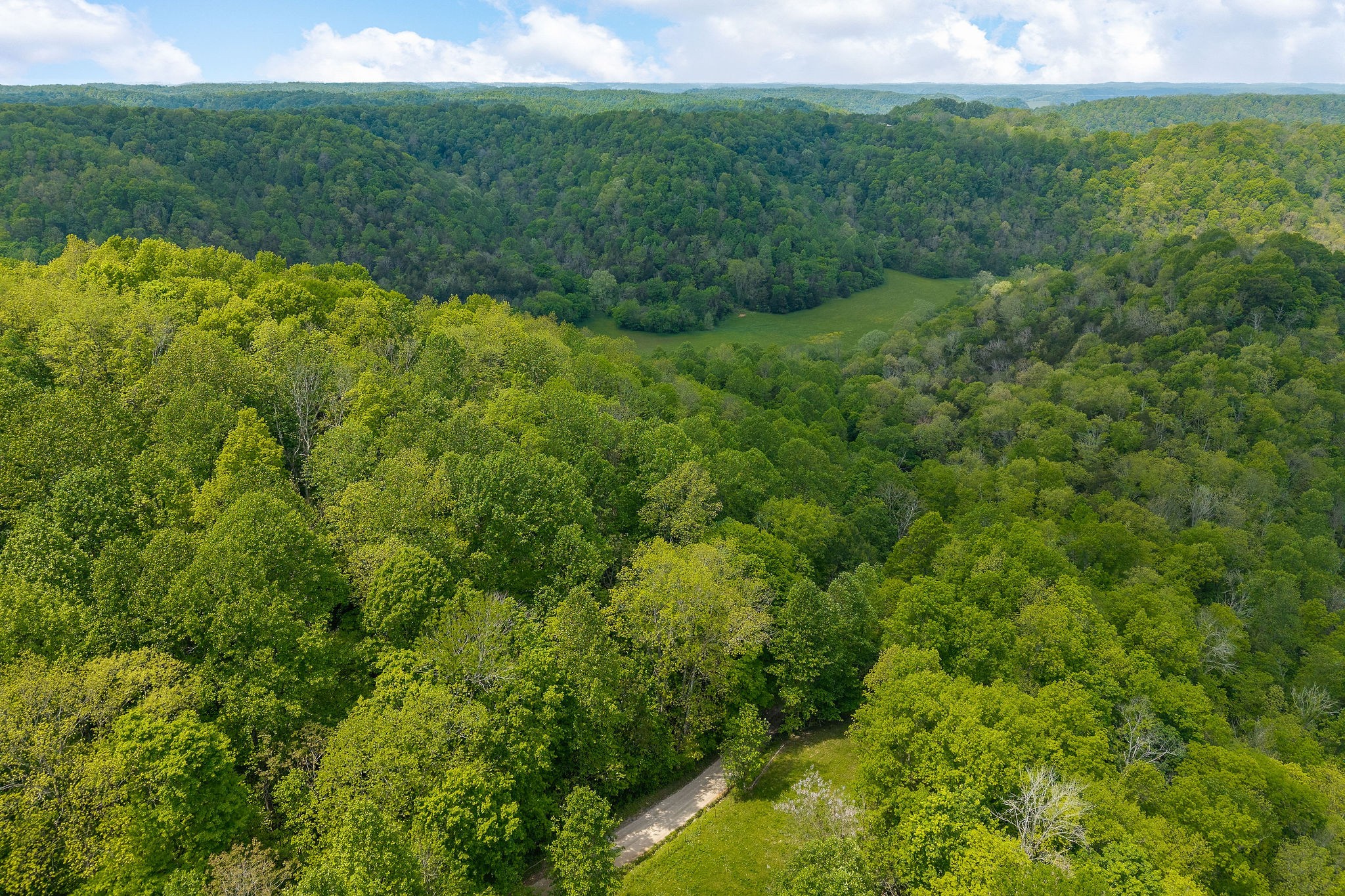 0 Red Bud Lane Hilham, TN 38568 - Photo 7 of 14