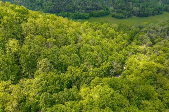 $28,000 | 0 Red Bud Lane, Hilham, TN 38568