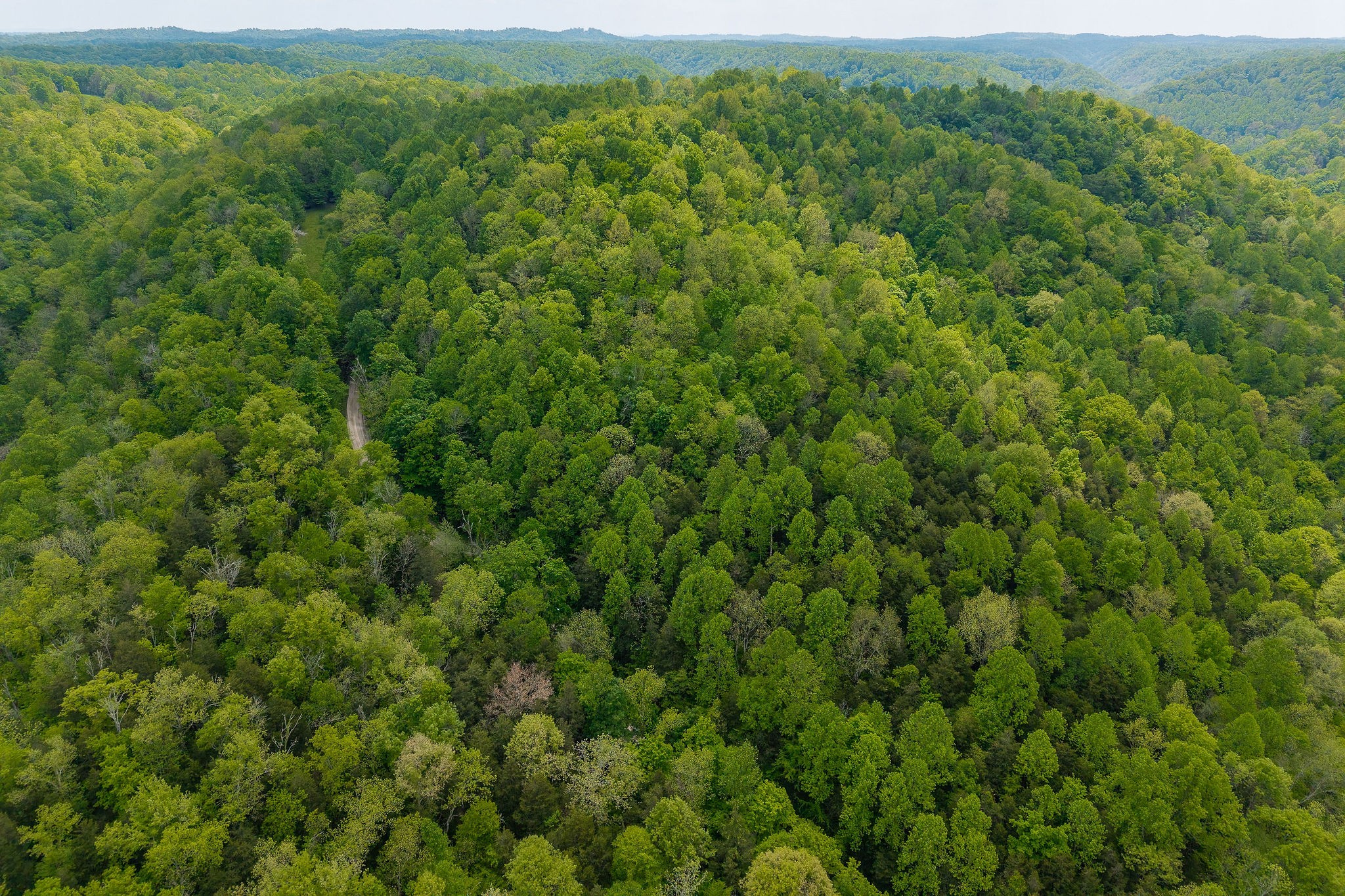 0 Red Bud Lane Hilham, TN 38568 - Photo 9 of 14