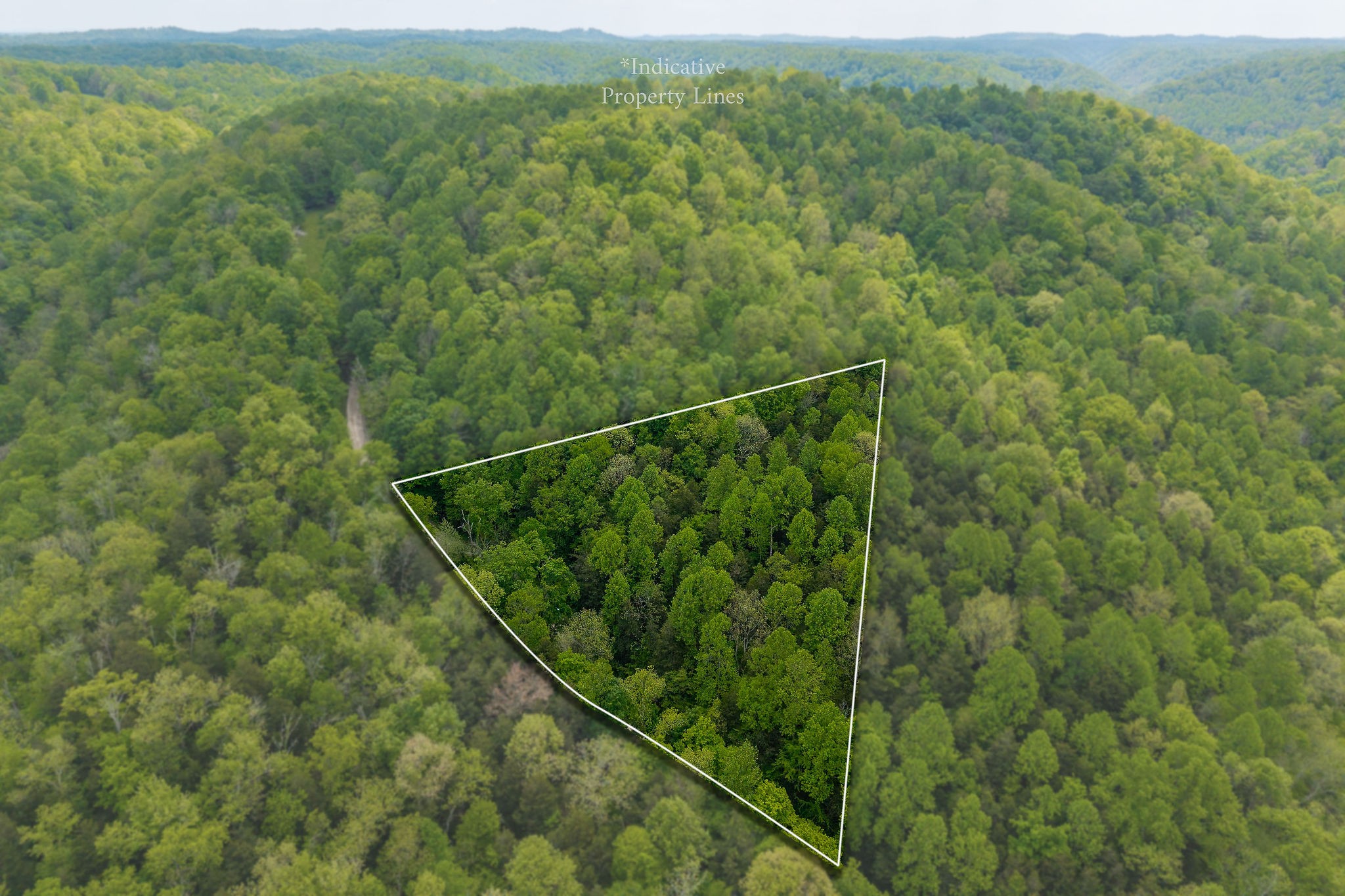 0 Red Bud Lane Hilham, TN 38568 - Photo 10 of 14