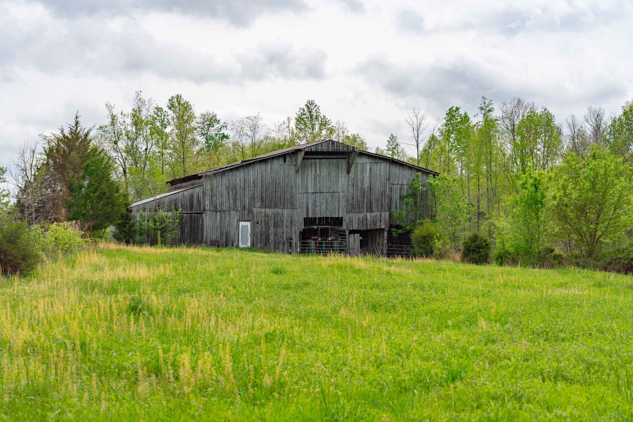 0 Powell Road Red Boiling Springs, TN 37150 - Photo 11 of 69 a view of a backyard