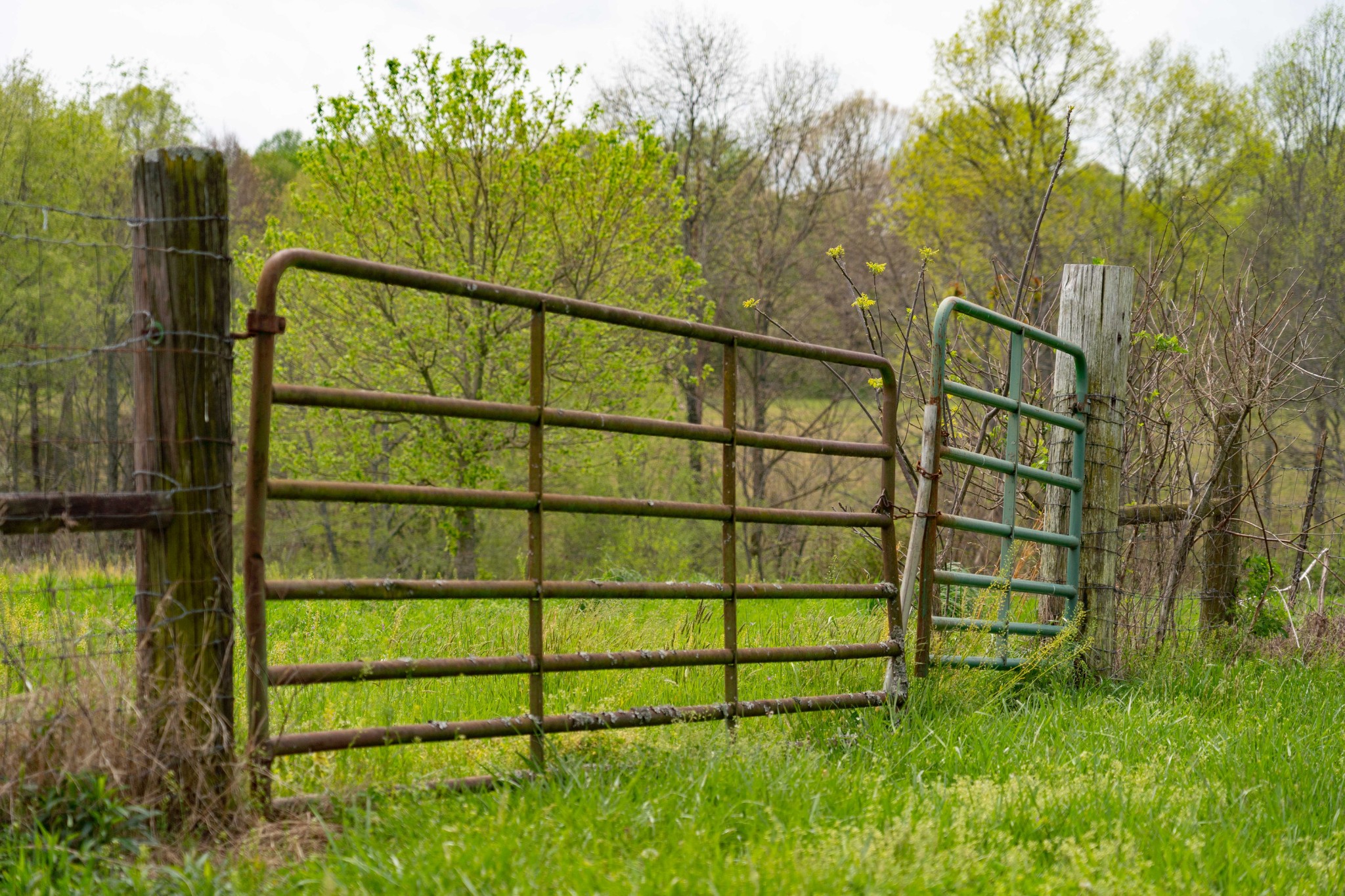 0 Powell Road Red Boiling Springs, TN 37150 - Photo 12 of 69