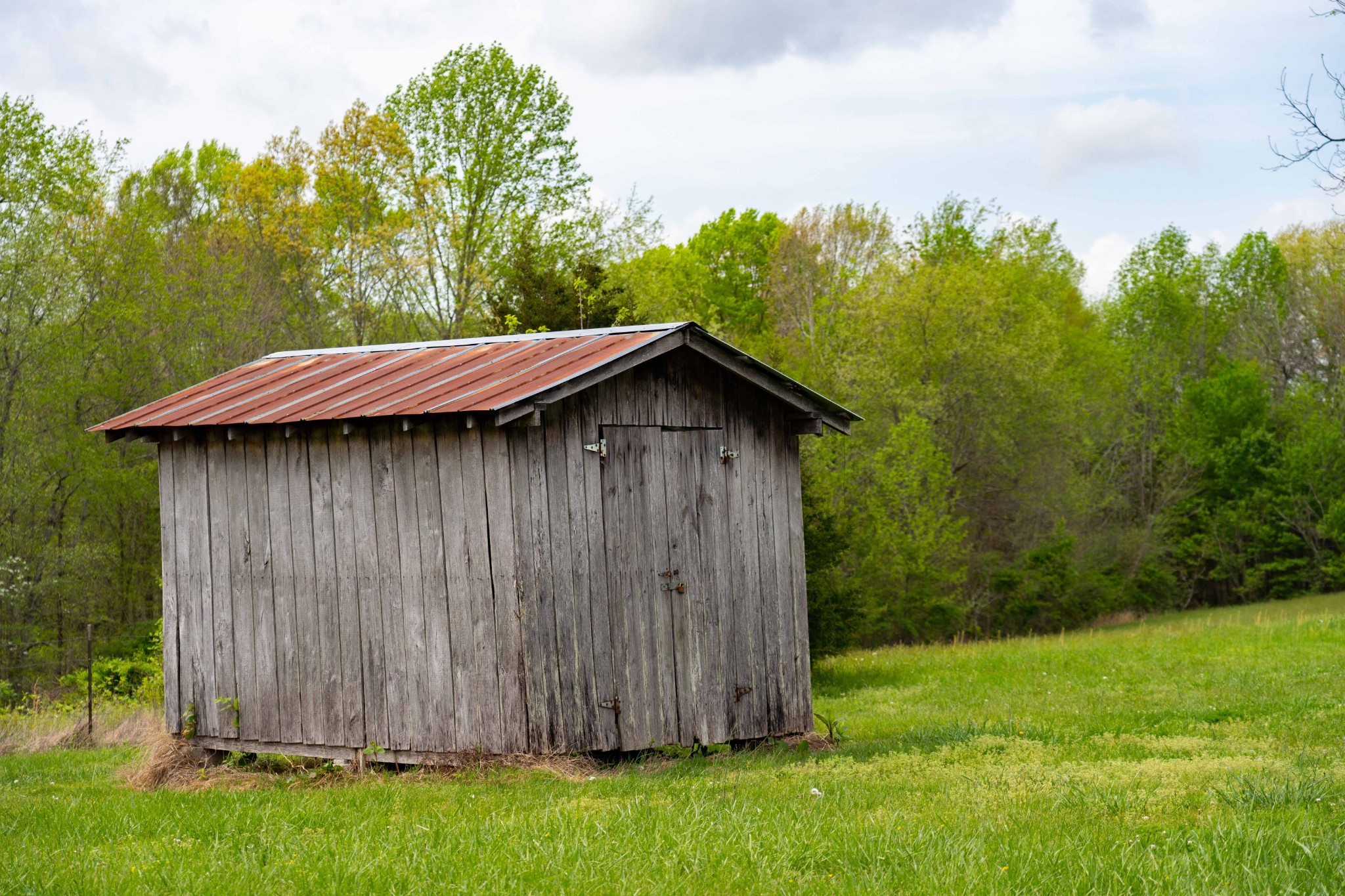 0 Powell Road Red Boiling Springs, TN 37150 - Photo 14 of 69 a backyard of a house with lots of green space