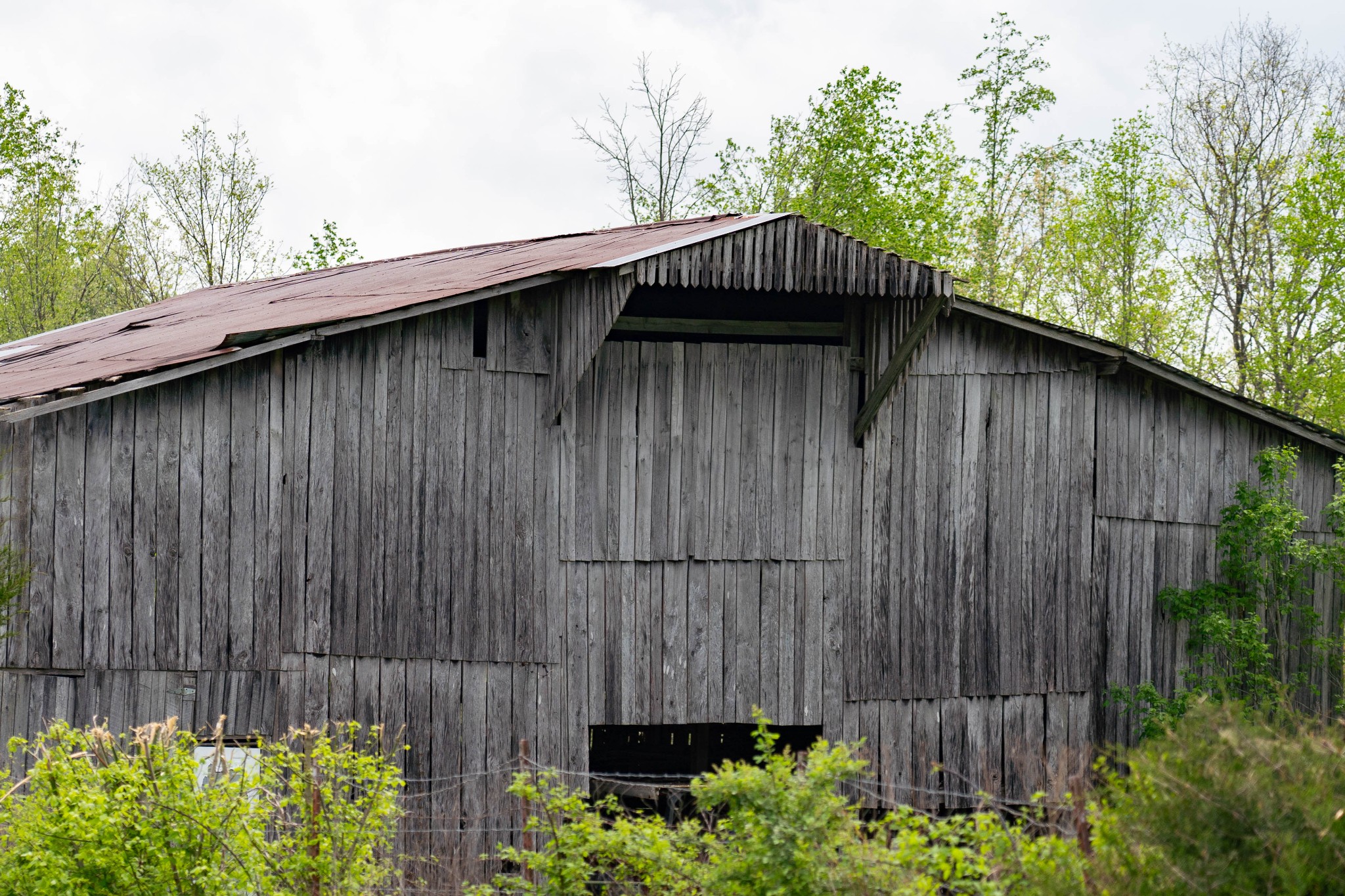 0 Powell Road Red Boiling Springs, TN 37150 - Photo 15 of 69 a backyard of a house with lots of green space
