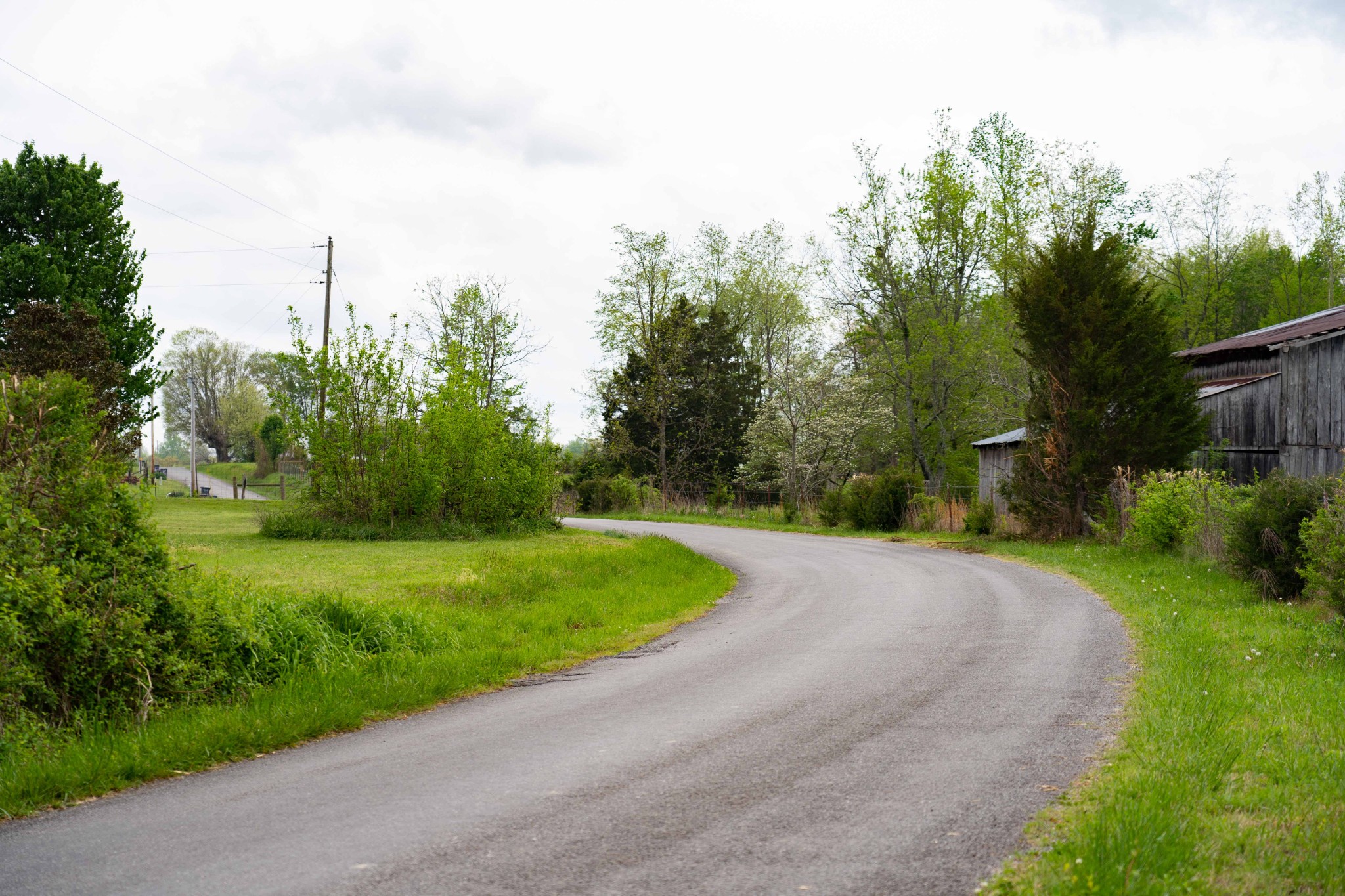 0 Powell Road Red Boiling Springs, TN 37150 - Photo 18 of 69 a view of a garden with large trees