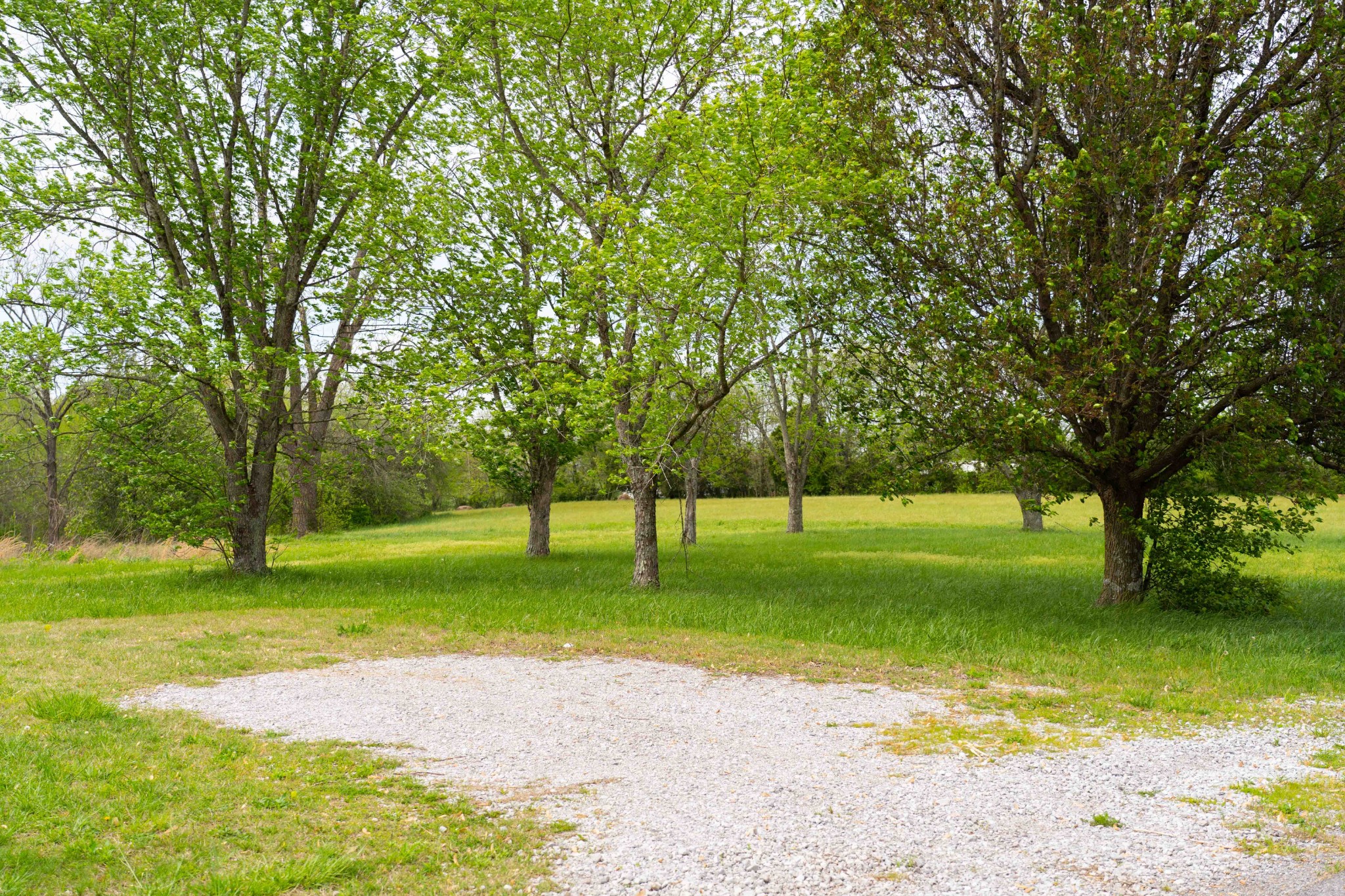 0 Powell Road Red Boiling Springs, TN 37150 - Photo 19 of 69 a view of a park with large trees