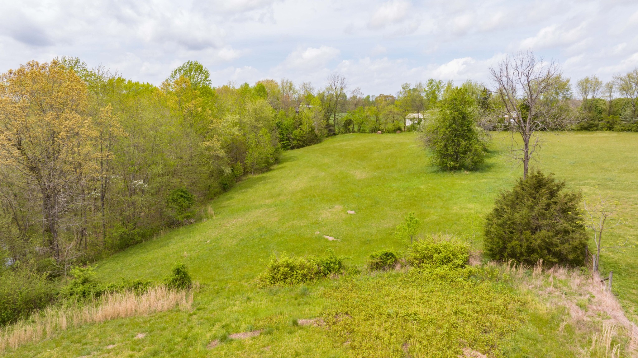 0 Powell Road Red Boiling Springs, TN 37150 - Photo 31 of 69