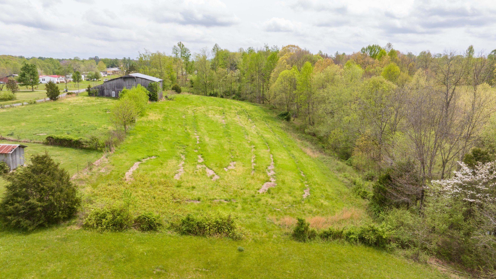 0 Powell Road Red Boiling Springs, TN 37150 - Photo 32 of 69 a view of a yard with an outdoor space