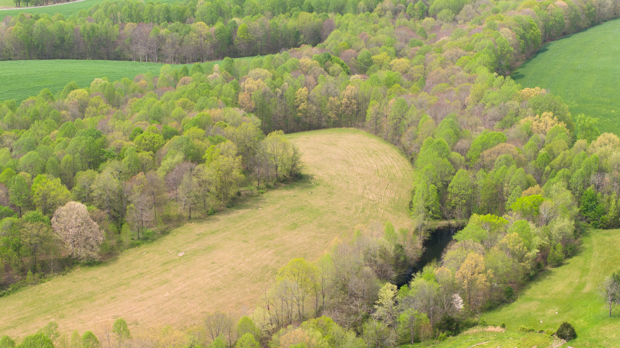 0 Powell Road Red Boiling Springs, TN 37150 - Photo 44 of 69 a bathroom with a sink and mirror