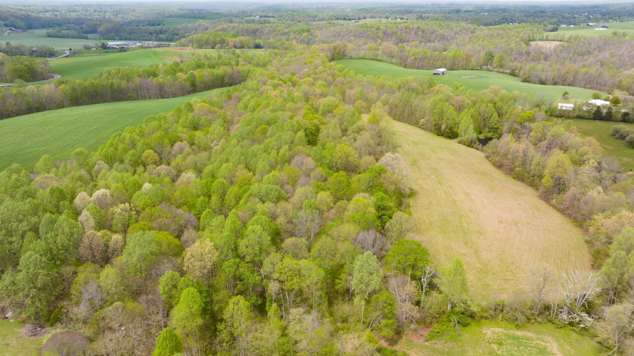 0 Powell Road Red Boiling Springs, TN 37150 - Photo 49 of 69