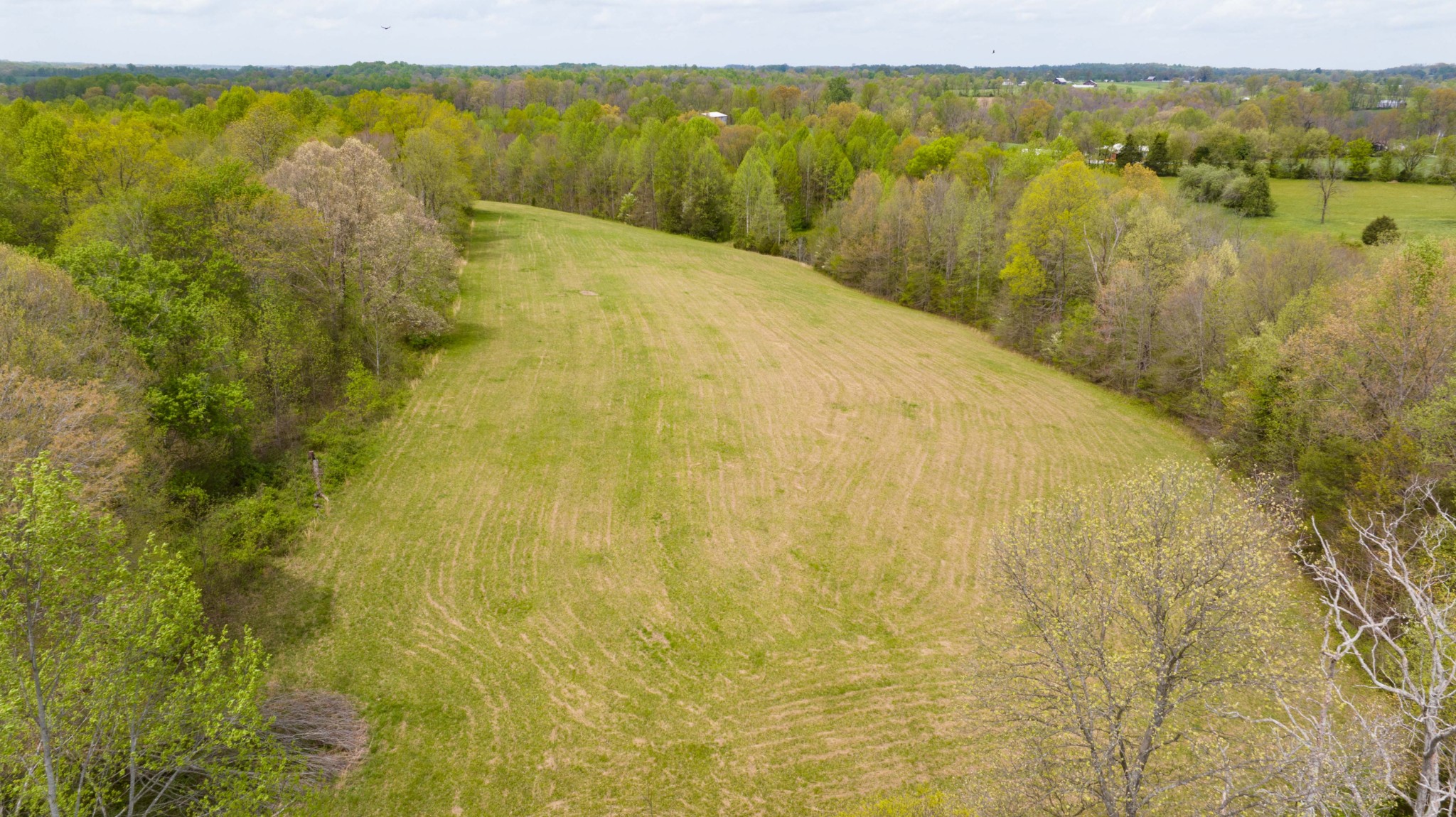 0 Powell Road Red Boiling Springs, TN 37150 - Photo 50 of 69