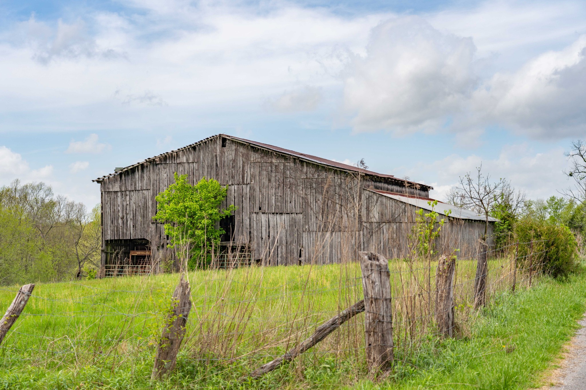 0 Powell Road Red Boiling Springs, TN 37150 - Photo 5 of 69 a view of a back yard