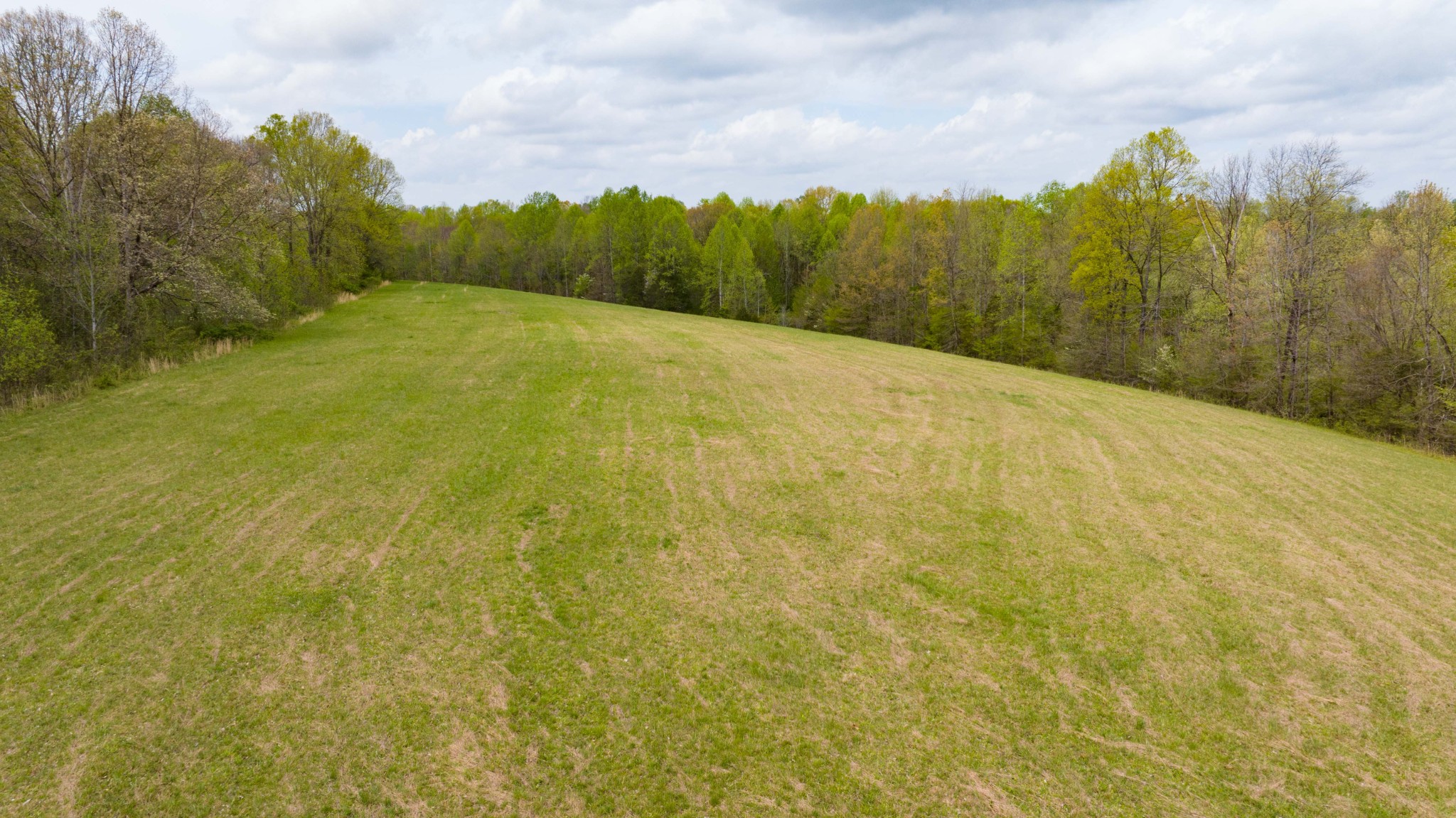 0 Powell Road Red Boiling Springs, TN 37150 - Photo 51 of 69 a view of a large mountain with a yard