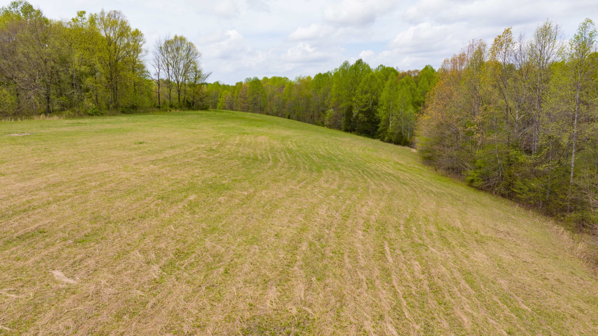 0 Powell Road Red Boiling Springs, TN 37150 - Photo 52 of 69 a view of an outdoor space and a yard