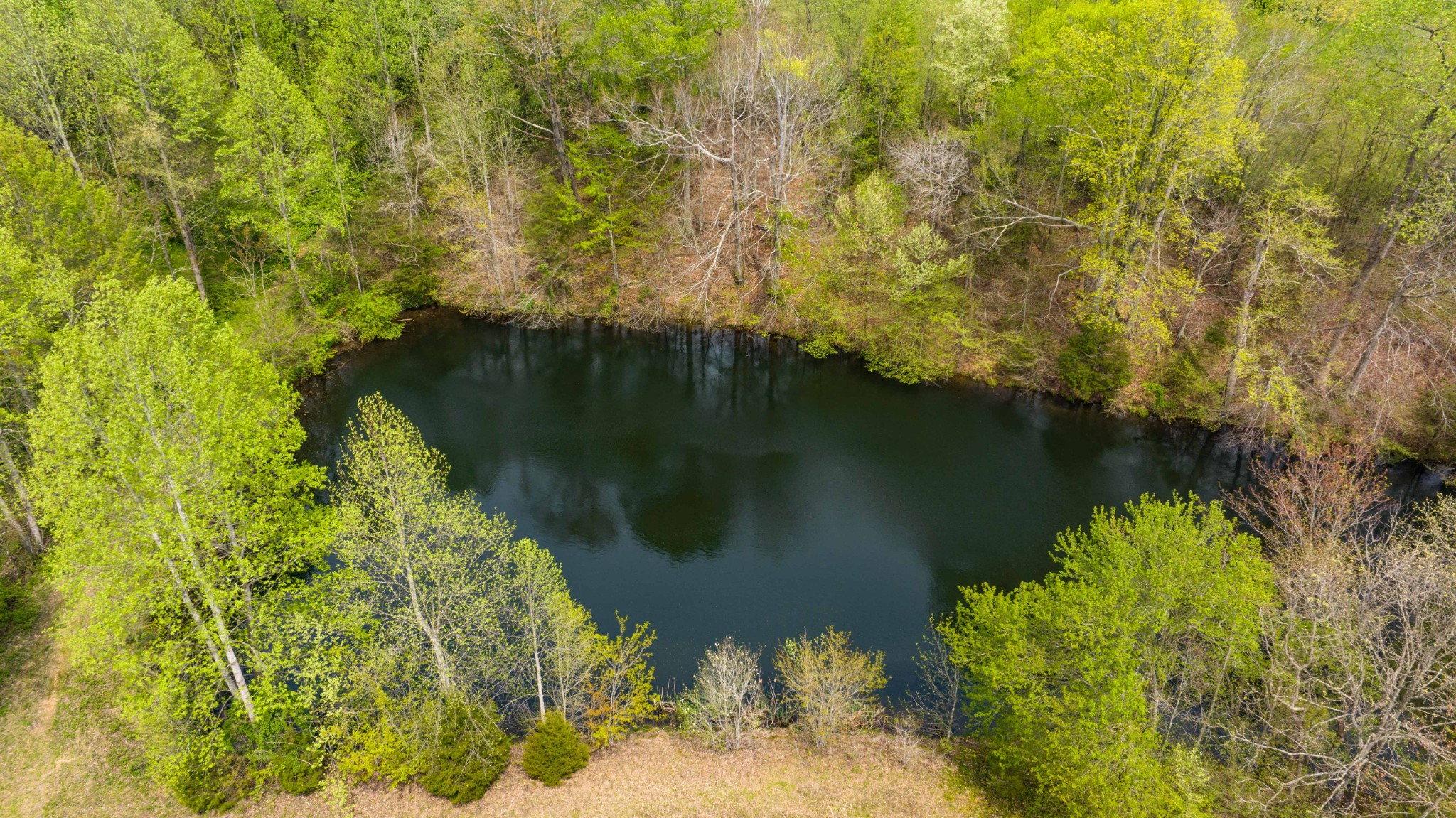 0 Powell Road Red Boiling Springs, TN 37150 - Photo 54 of 69