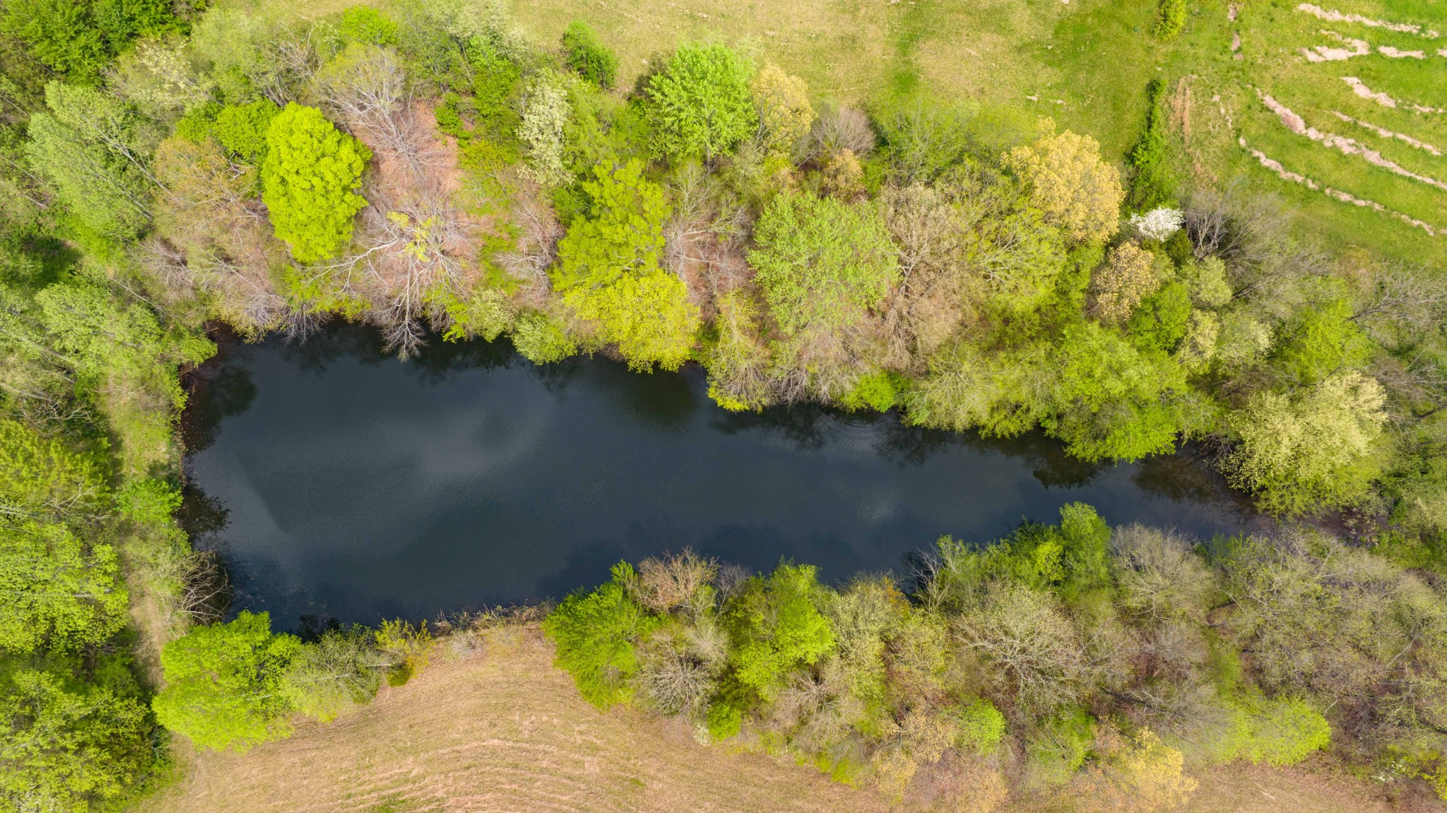 0 Powell Road Red Boiling Springs, TN 37150 - Photo 55 of 69