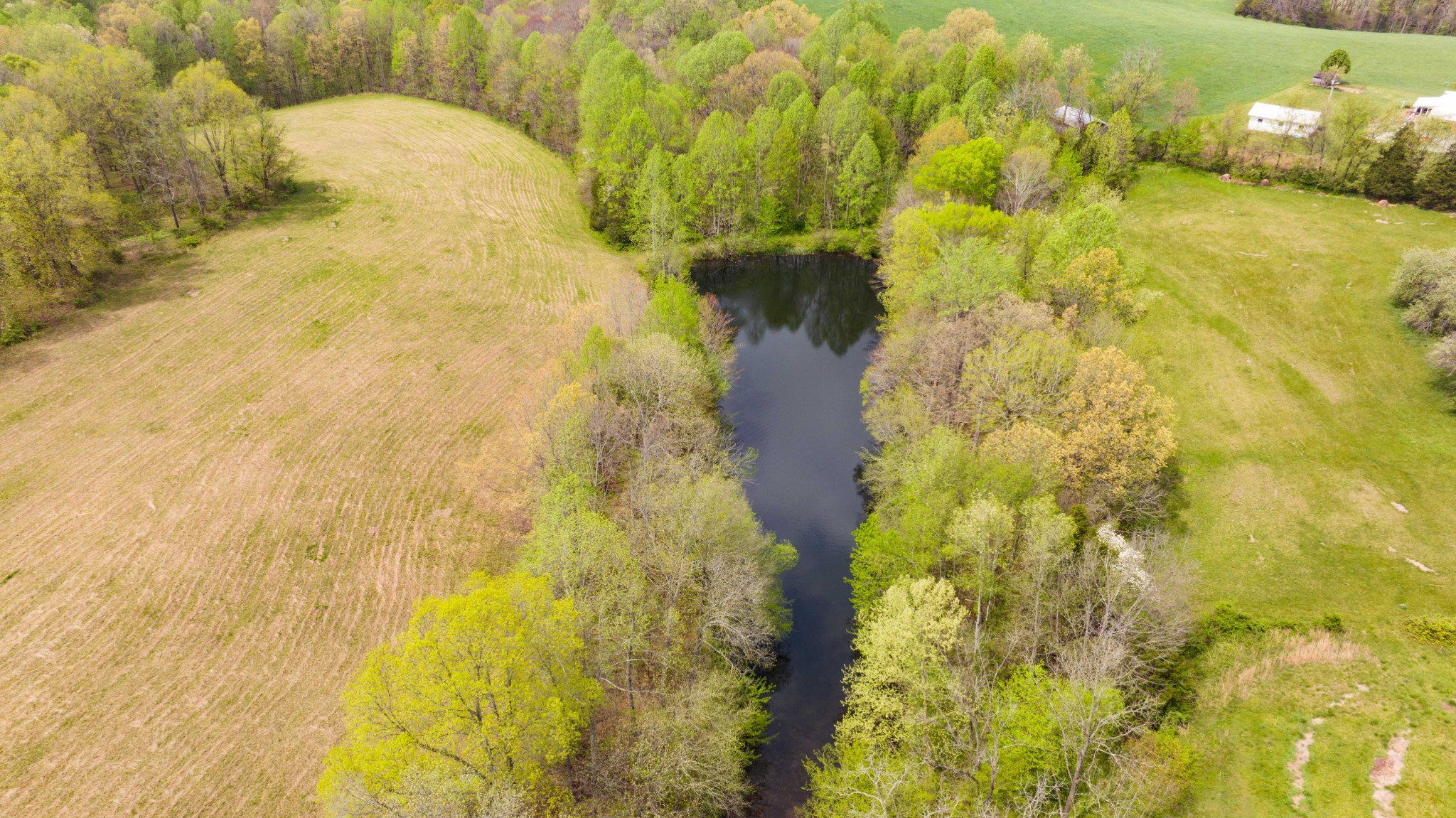 0 Powell Road Red Boiling Springs, TN 37150 - Photo 57 of 69