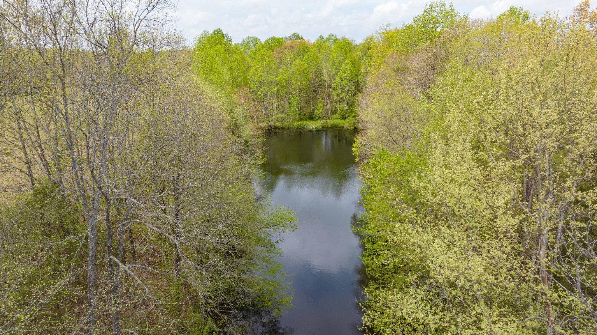 0 Powell Road Red Boiling Springs, TN 37150 - Photo 59 of 69