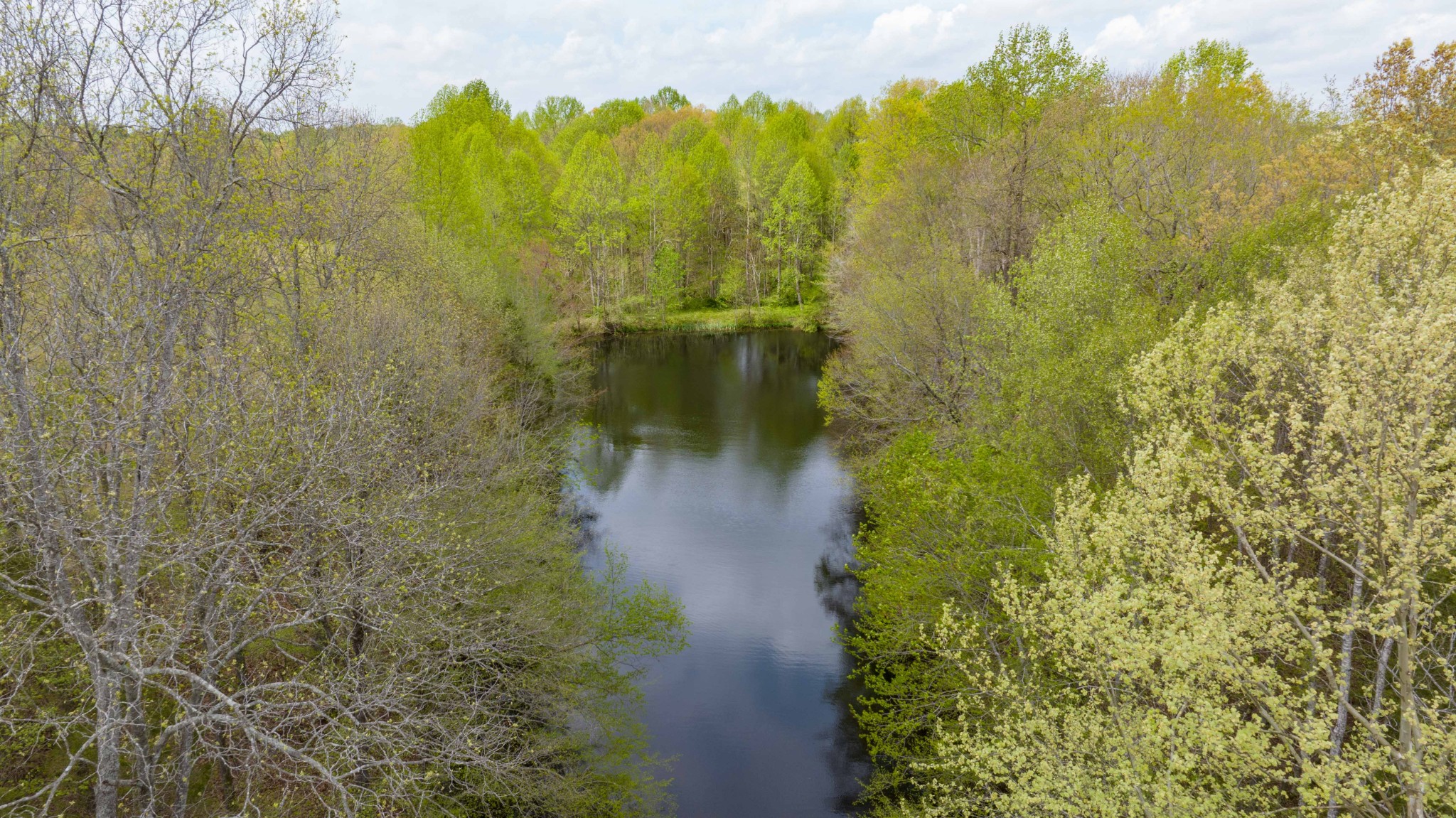 0 Powell Road Red Boiling Springs, TN 37150 - Photo 60 of 69 a view of a garden