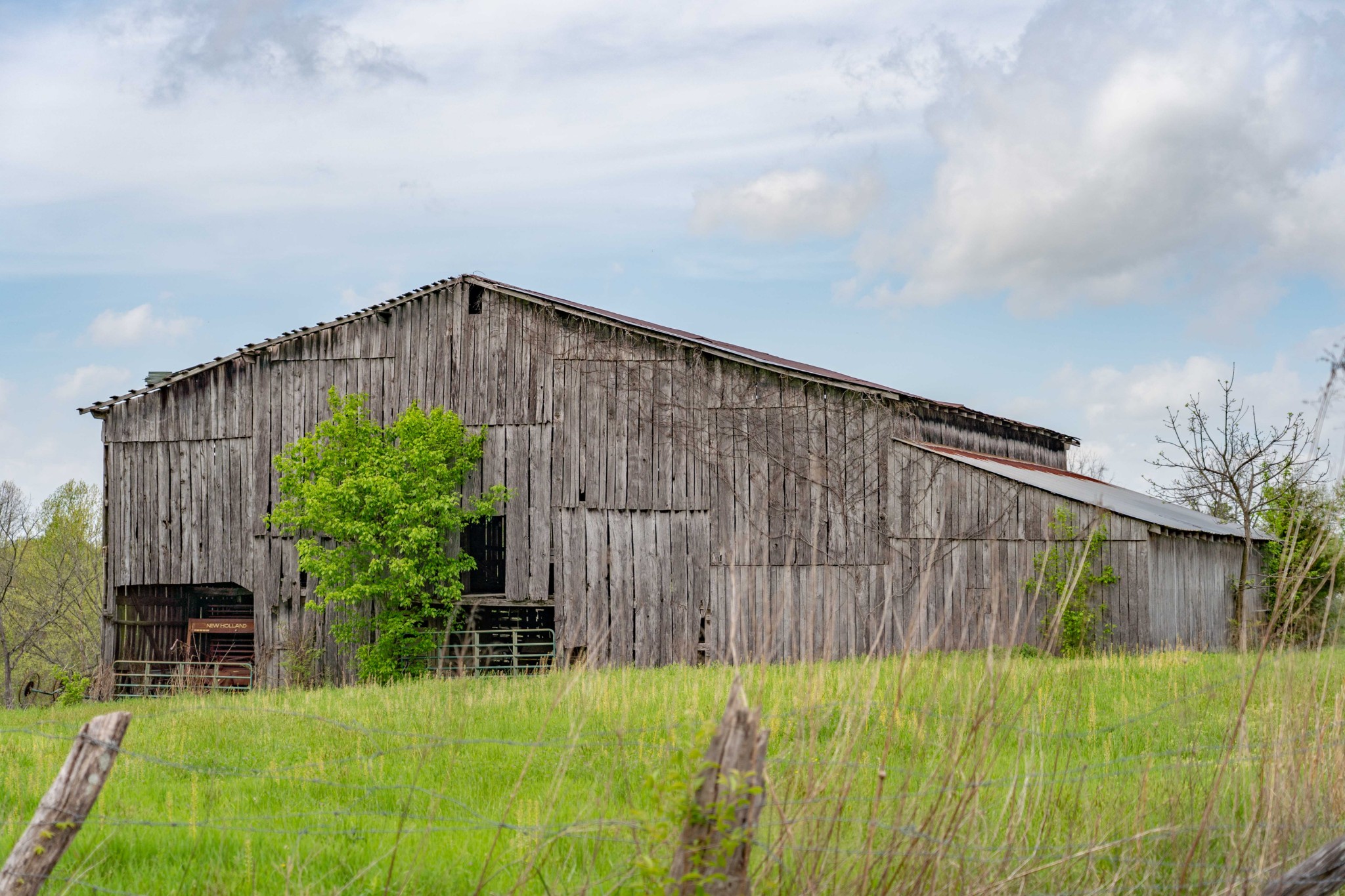 0 Powell Road Red Boiling Springs, TN 37150 - Photo 6 of 69 a backyard of a house with lots of green space