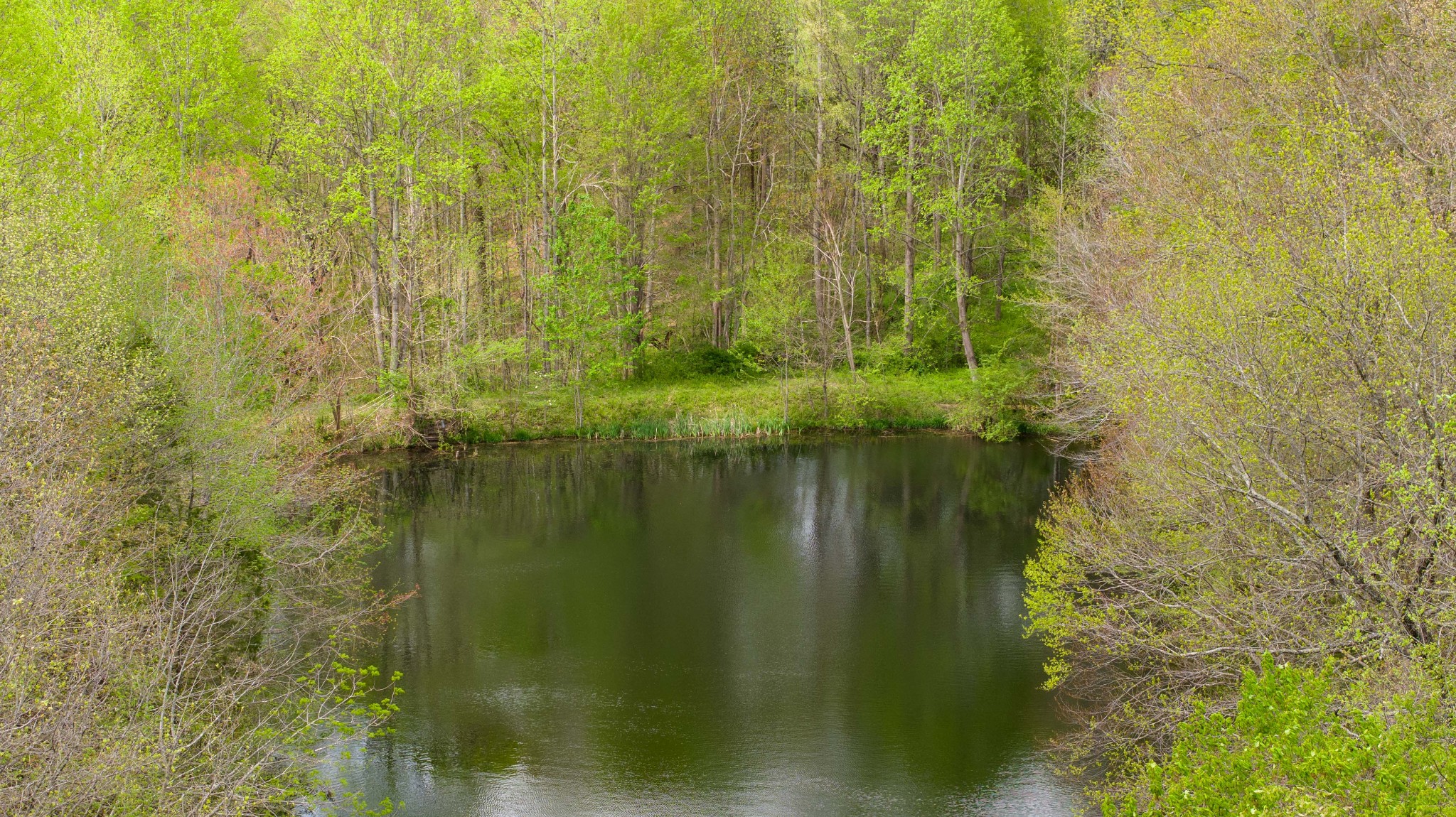 0 Powell Road Red Boiling Springs, TN 37150 - Photo 61 of 69