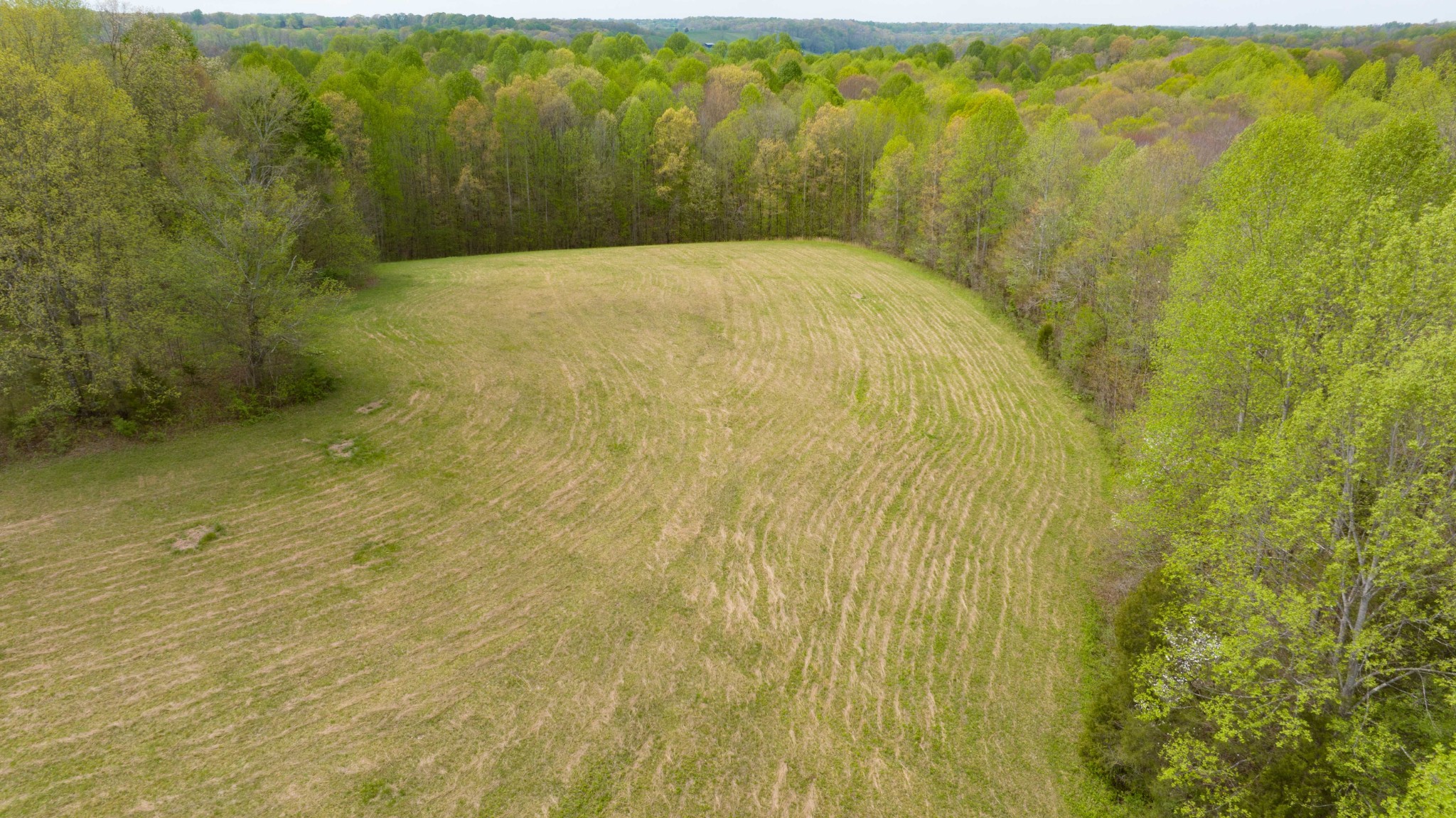 0 Powell Road Red Boiling Springs, TN 37150 - Photo 63 of 69 a view of bathroom and shower