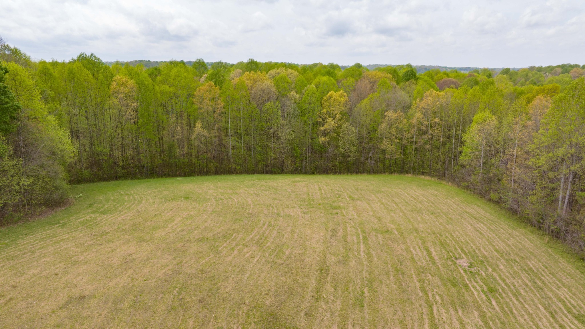 0 Powell Road Red Boiling Springs, TN 37150 - Photo 64 of 69 a view of under an umbrella