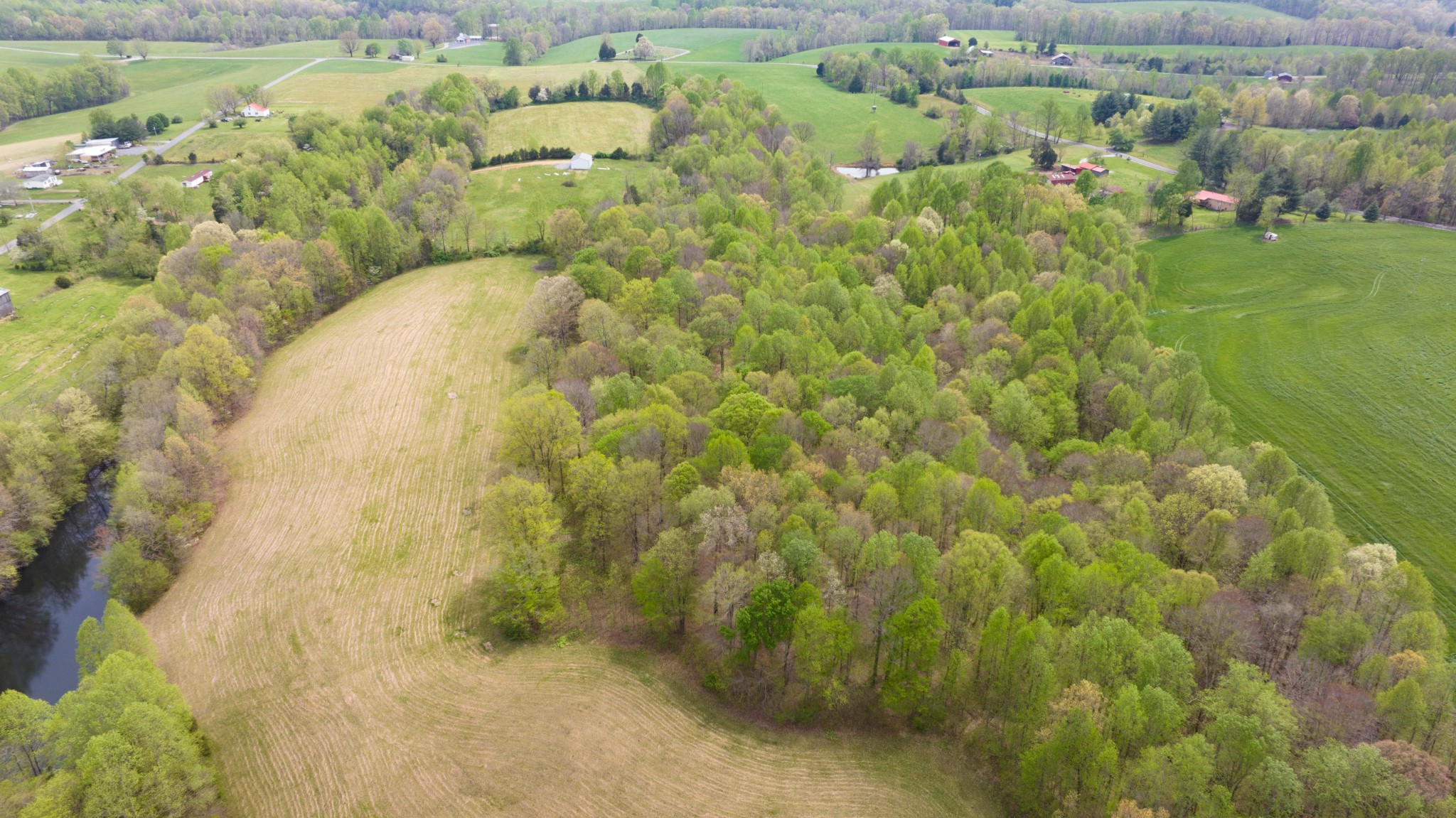 0 Powell Road Red Boiling Springs, TN 37150 - Photo 65 of 69 a view of a swimming pool of the house