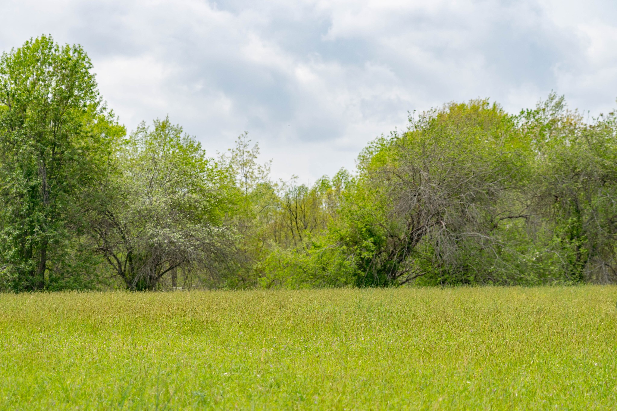 0 Powell Road Red Boiling Springs, TN 37150 - Photo 7 of 69