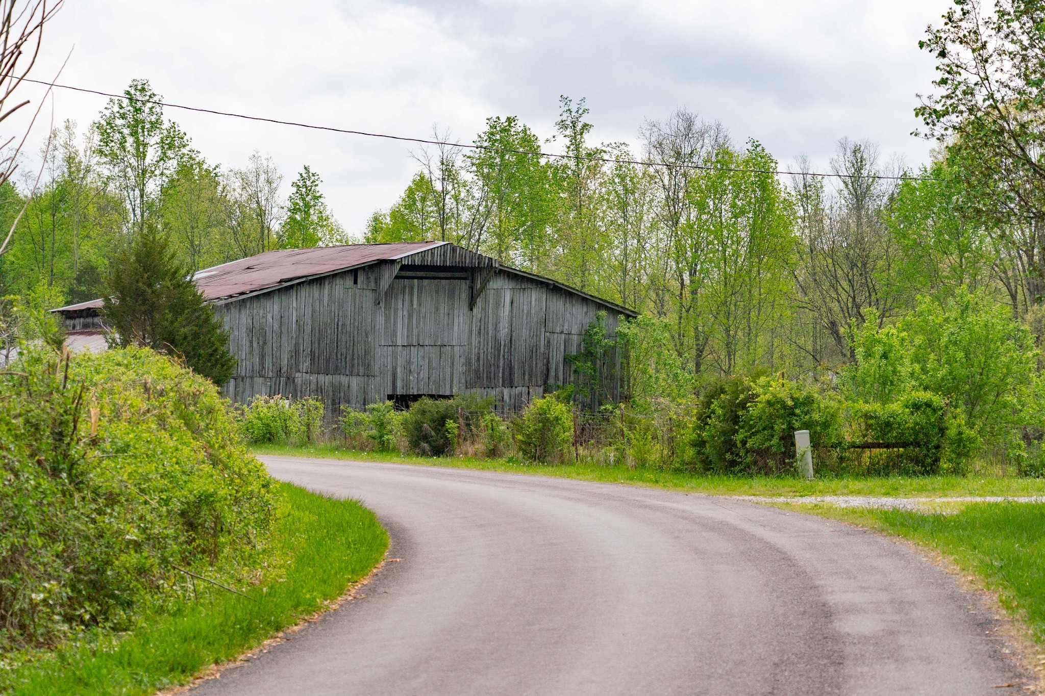 0 Powell Road Red Boiling Springs, TN 37150 - Photo 9 of 69 a backyard of a house with plants and trees with wooden fence