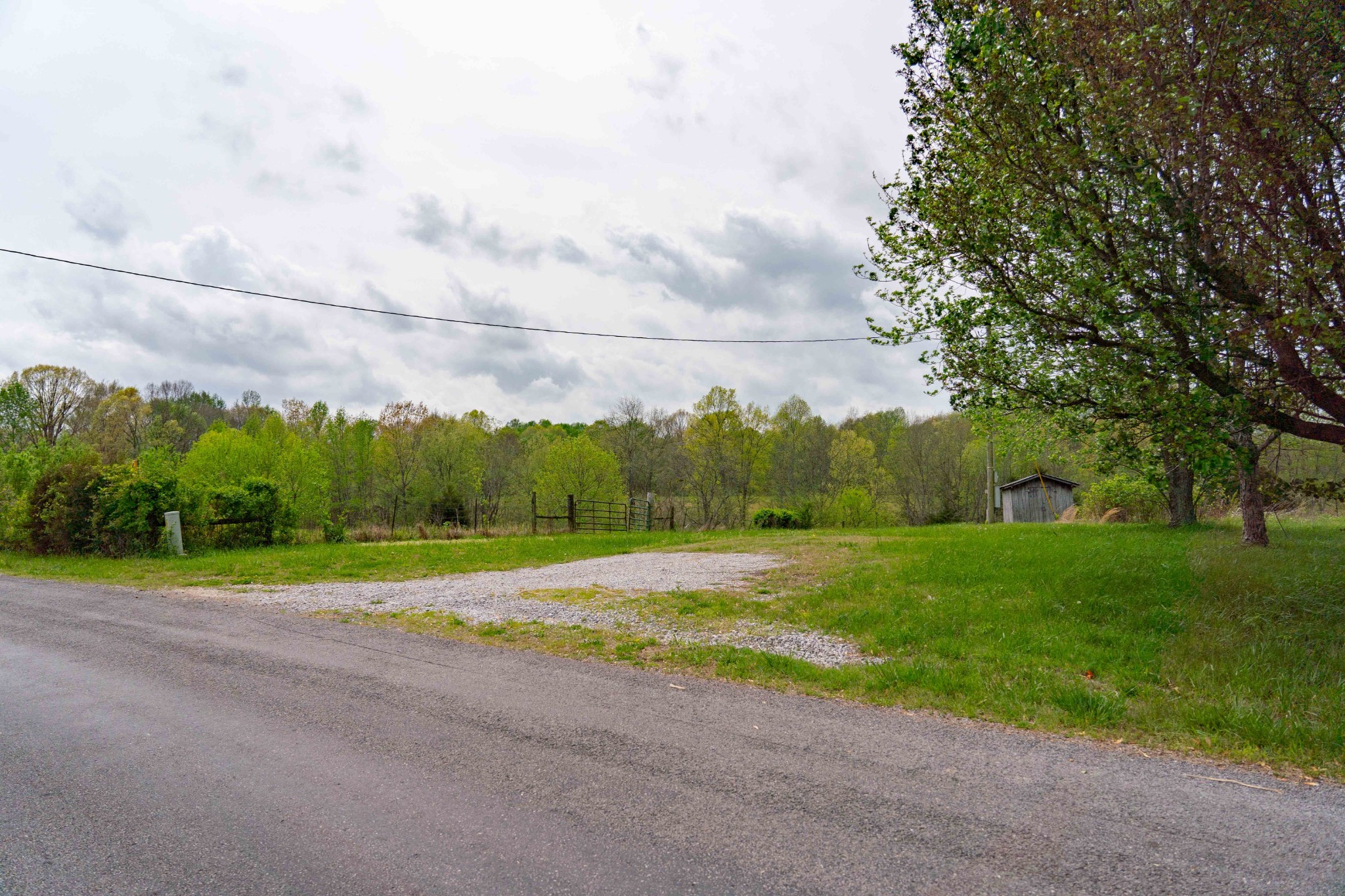 0 Powell Road Red Boiling Springs, TN 37150 - Photo 10 of 69 a view of field with tall trees