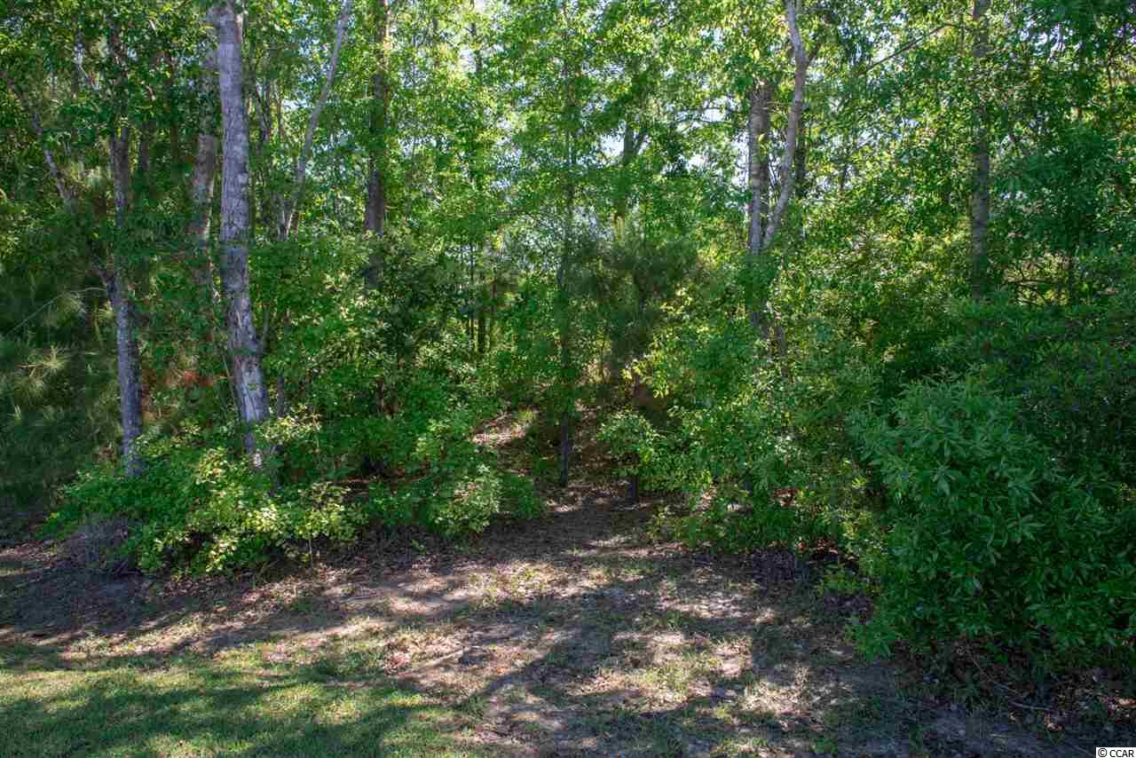 409 Three Rivers Road Myrtle Beach, SC 29588 - Photo 15 of 36 Gallery Image 15