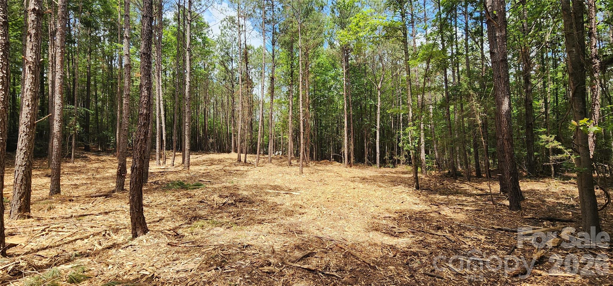 4870 Old Airport Road Winnsboro, SC 29180 - Photo 17 of 38