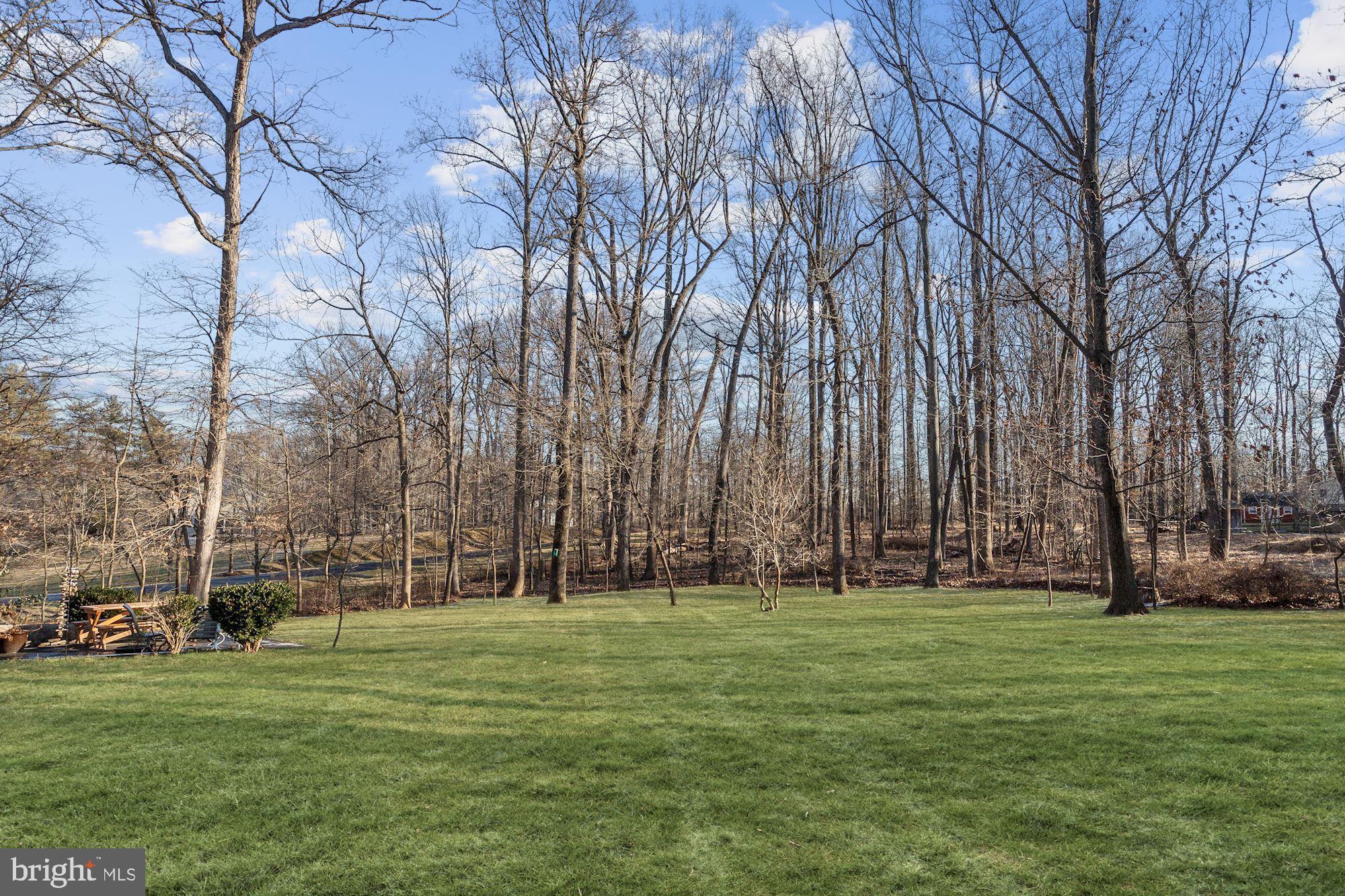 12256 Carroll Mill Road Ellicott City, MD 21042 - Photo 36 of 44 Expansive Backyard