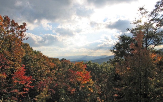 Tranquil Cove Road Murphy, NC 28906 - Photo 1 of 1 Main View