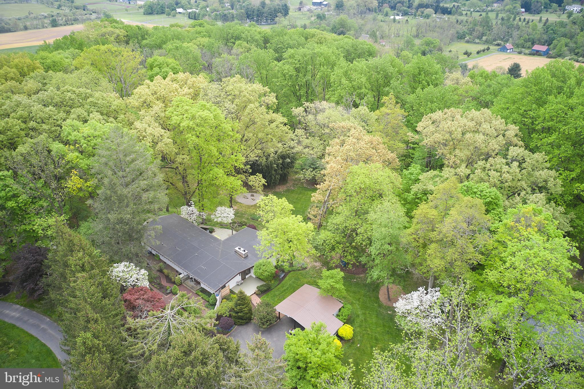 2952 Comfort Road New Hope, PA 18938 - Photo 2 of 46 Mid Century Modern Nestled on Over 7 acres