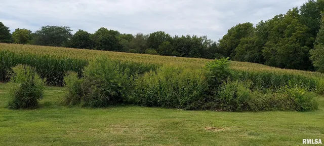 $230,000 | 2390 Highway 150, Rio, IL 61472