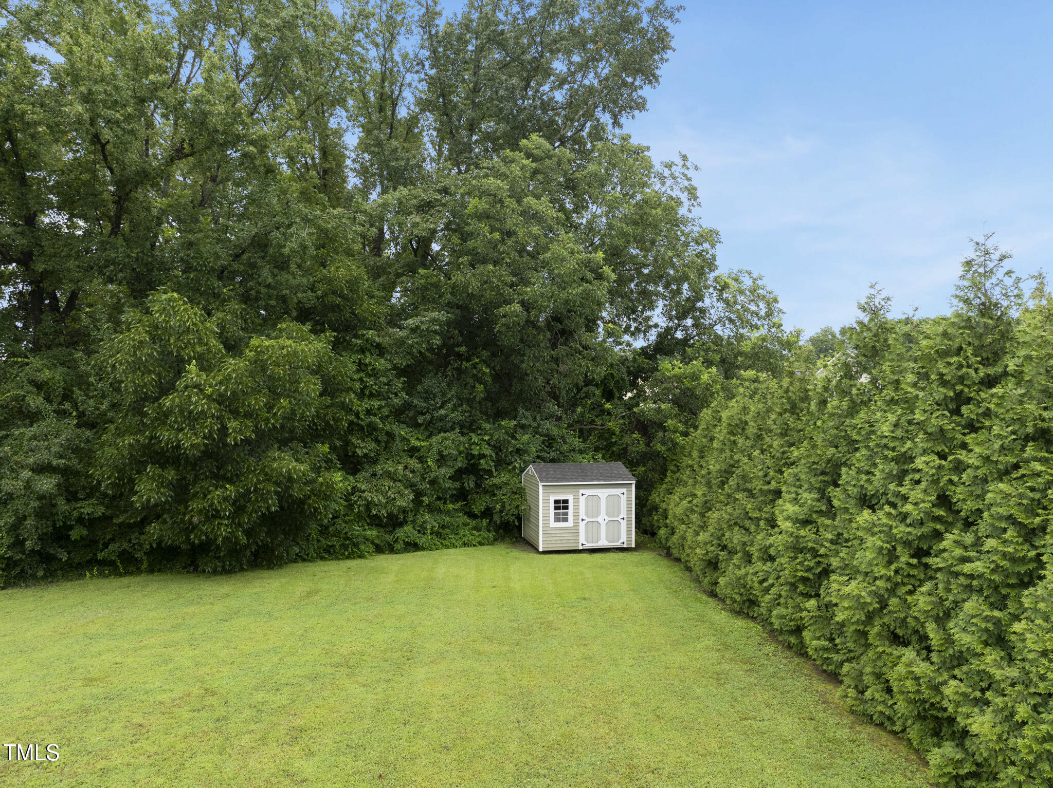 728 Spruce Meadows Lane Willow Spring, NC 27592 - Photo 36 of 45 a view of a trees with a field