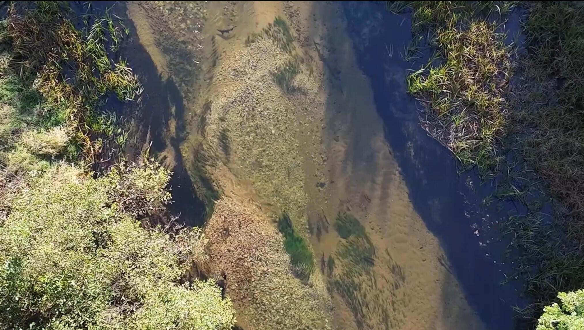 4875 Skocelas Road South Manistee, MI 49660 - Photo 5 of 56 River1