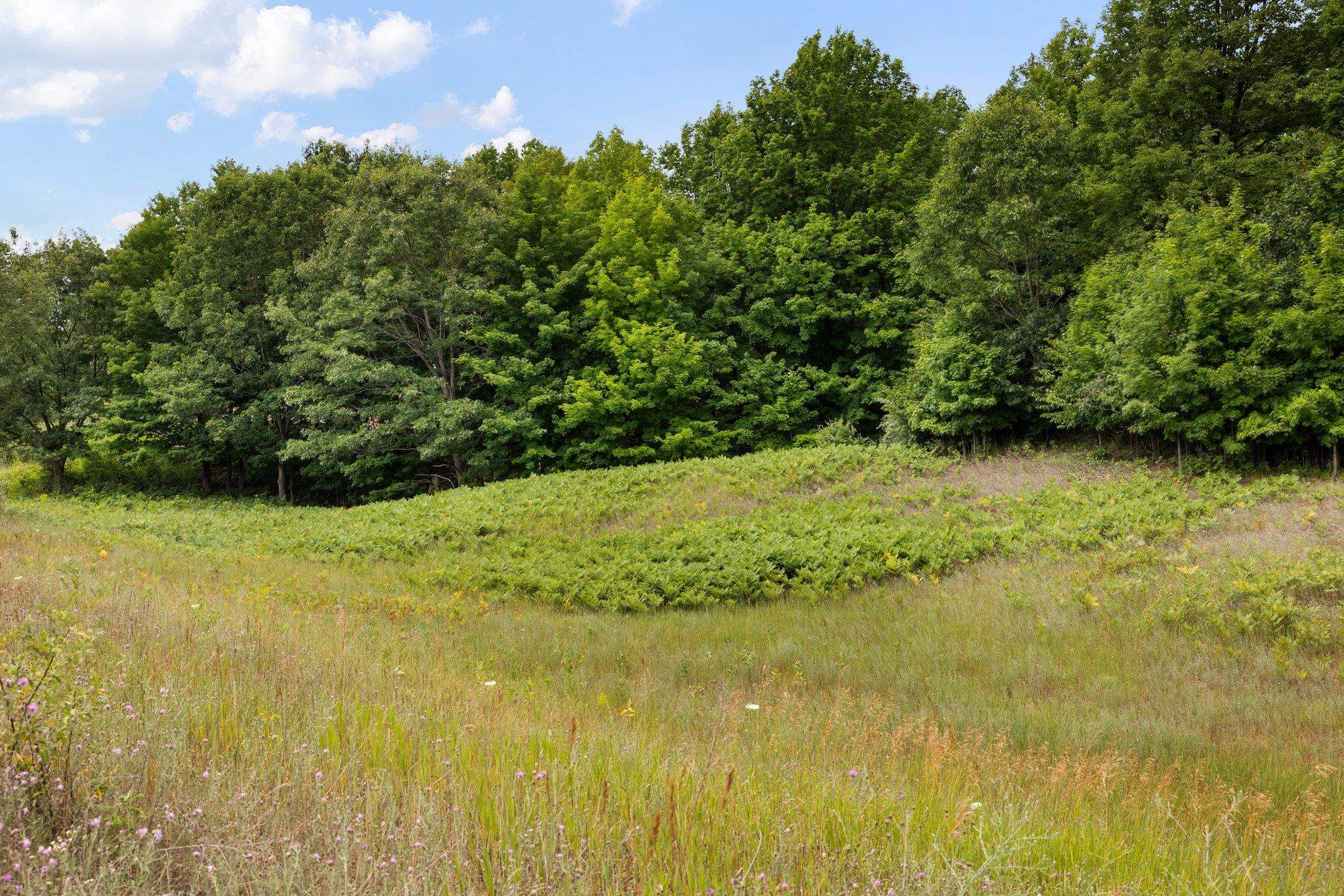 7886 Florey's Ranch Road Buckley, MI 49620 - Photo 15 of 36