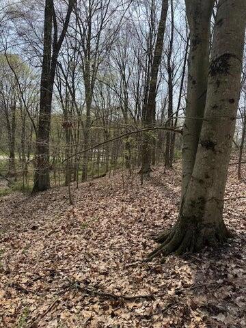 0 Walnut Dowler Road Logan, OH 43138 - Photo 5 of 12 5