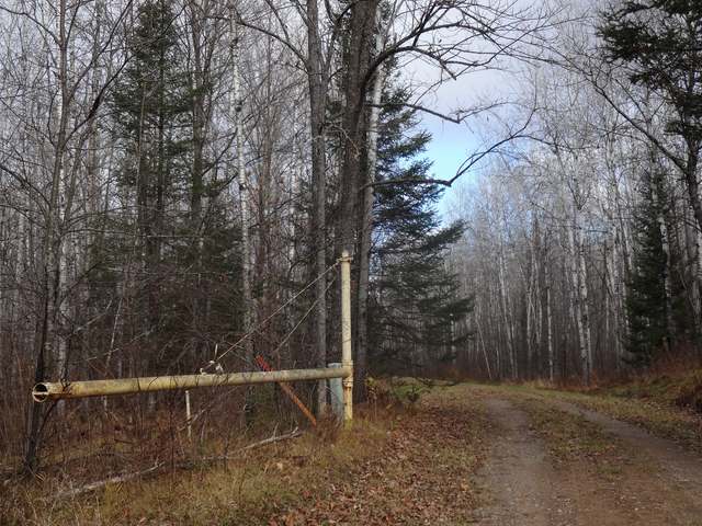11586 Morgan Lake Road Long Lake, WI 54542 - Photo 5 of 12 Gallery Image 5