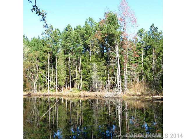 63-ac Cedar Grove Road York, SC 29745 - Photo 1 of 14 a view of a garden with a tree