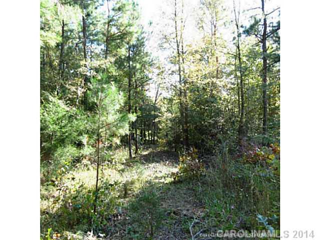 63-ac Cedar Grove Road York, SC 29745 - Photo 2 of 14 a view of a yard with a tree