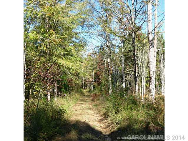 63-ac Cedar Grove Road York, SC 29745 - Photo 11 of 14 a view of lake view