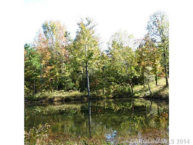 63-ac Cedar Grove Road York, SC 29745 - Photo 12 of 14
