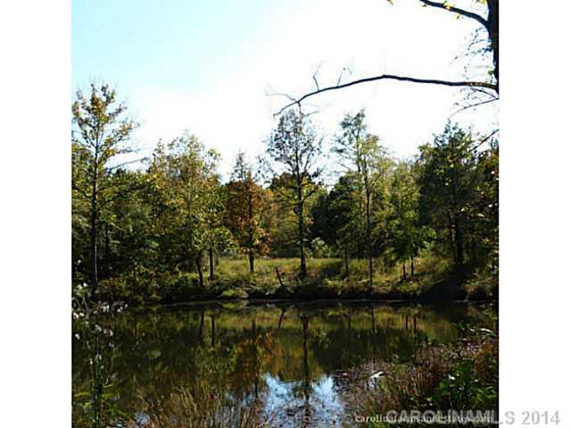 63-ac Cedar Grove Road York, SC 29745 - Photo 13 of 14 a view of a lake in between of two and white house