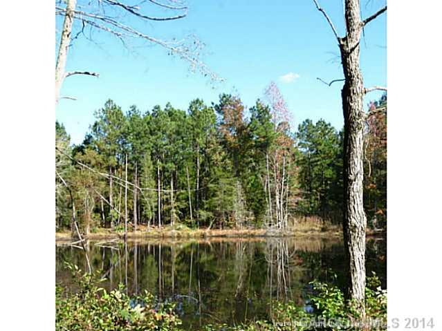 63-ac Cedar Grove Road York, SC 29745 - Photo 10 of 14 a view of swimming pool from a lake view